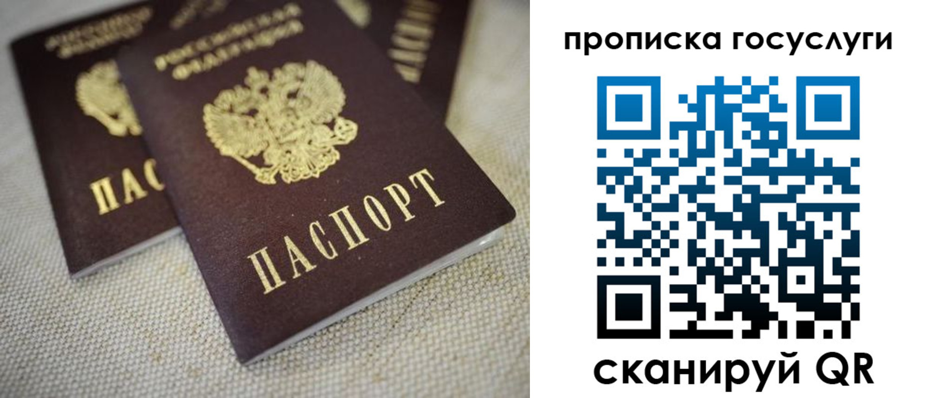 временная регистрация для всех в Борзе